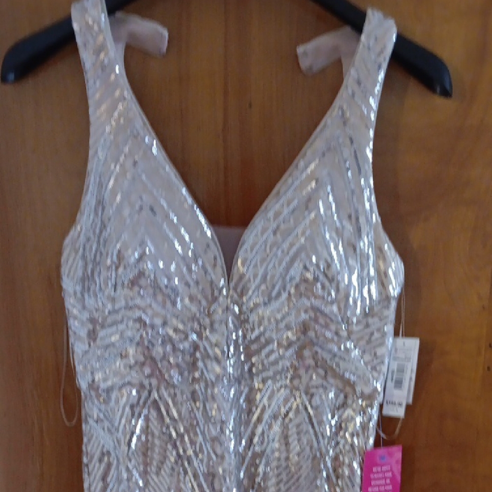 Champagne Silver Sequin Gown - Picture 3 of 10